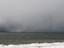 Ветер на побережье в Калининградской области усилится до 21 м/с