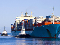 Польские компании ввозят из России… березу