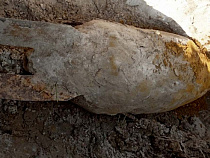 Из посёлка под Мамоново вывезли авиабомбу