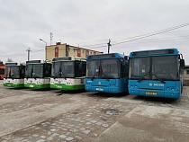 В мэрии Калининграда рассказали о судьбе подаренных Москвой автобусов