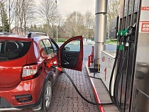 Беспрозванных пообещал скидки на бензин и дизтопливо 