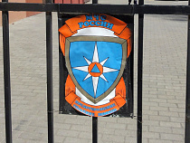 МЧС вывело из лесов Калининградской области почти 100 человек