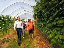 Алиханов прогулялся в Зеленоградск за позитивными эмоциями