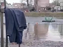 Мать чуть не погибшего на льду в Черняховске мальчика была под градусом