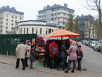 Администрация Светлогорска незаконно выдала разрешение на строительство дома возле Центрального спуска