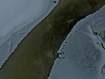 В Калининградской области спасатели ищут пропавшего ребёнка