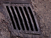 Калининградец стащил с улицы Невского два канализационных люка