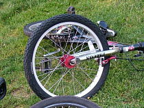 В Калининграде на пешеходном переходе сбили двухлетнего велосипедиста