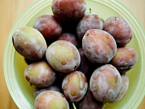 В Калининграде местные сливы стали очагом жути