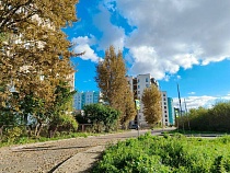 Октябрь в Калининградской области начнётся с засухи