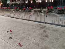 В Зеленоградске на площади публично надругались над цветами