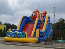 К батуту в Гусеве предъявили претензии 