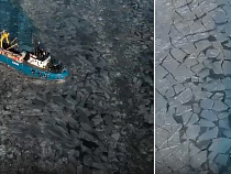 Квадрокоптер снял, как суда пробиваются через льды Калининградского залива (видео)