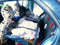 Из автомобиля гражданки России таможенники извлекли 410 кг свиного мяса
