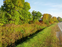 Алиханов поручил переиздать закон «Об охране зеленых насаждений»
