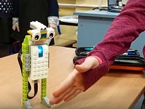 Под Зеленоградском «оживили» робота-шпиона