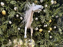 К Новому году над котами вскочил новый символ Зеленоградска