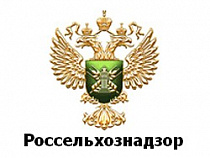 Россельхознадзор: в Калининградскую область ввезли более 2 млн. штук срезанных цветов