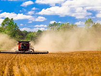 Калининградская область просит ещё 2,5 млрд рублей на развитие мелиорации