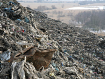 Алиханов дал старт новой свалке под Калининградом
