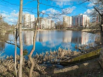 В Калининградской области при докладе для Москвы нашли рост рождаемости