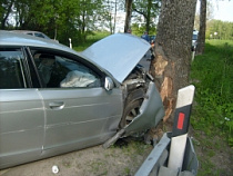 Под Калининградом иномарка врезалась в дерево