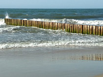 На море в Зеленоградске спасли жительницу Москвы