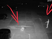 Камеры видеонаблюдения сняли зомби-апокалипсис в Янтарном