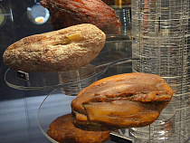 Депутатом Дивного станет обработчица янтаря