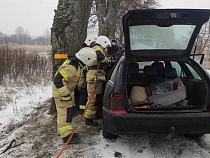 В Поваровке пожарные вытащили водителя из «Мерседеса» в дереве