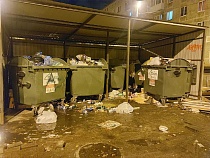 Калининградская область названа в числе аутсайдеров по мусорной реформе