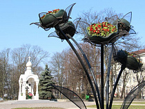 Власти купили цветы для городских клумб на 800 тысяч рублей