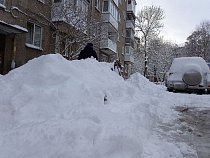 Беспрозванных начал сам проверять дворы Калининграда