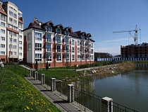 В Зеленоградске жильцы и прокурор требуют закрыть клинику «Гавчик и Мурчик»