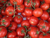 Под Калининградом уничтожили мясо-молочную продукцию из ЕС и турецкие томаты