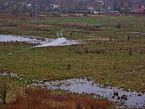 Аграрий: 30 лет на мелиоративные гектары региона не попадало ни рубля