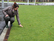 Апполонова возглавила комиссию по проверке готовности тренировочных площадок к ЧМ-2018