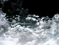 ГИБДД Калининграда предупредила водителей о гололедице 