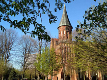 Педагоги из Гнесинки и Мариинки приедут на конкурс в Калининград