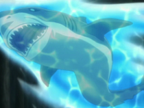 Посетители Калининградского зоопарка расшатали нервы акуле