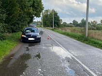 Под Большаково «Шкода» ударилась в опору ЛЭП под сильным дождём