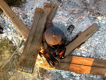 В Балтийске двое граждан поплатились за разведение костров в неположенном месте