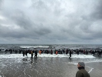 В Калининграде полиция устроила засаду на ловцов янтаря