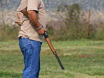 Суд взыскал полмиллиона рублей с калининградцев, убивших шесть кабанов и лося