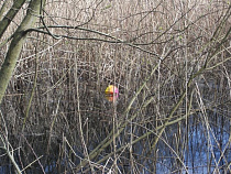 Двое мужчин застряли в болоте рядом с тренировочной площадкой к ЧМ-2018 