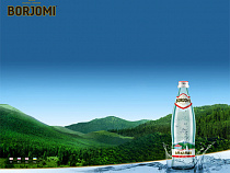 За 3,5 месяца в Россию было ввезено 15 миллионов бутылок "Боржоми"