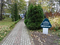 Застройщику Куршской косы дали добро на 10 тыс. кв. м в Светлогорске