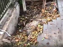 На мосту в Калининграде обрушился тротуар (видео)