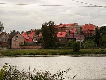 Дело о масштабной вырубке под Железнодорожным попало в суд 