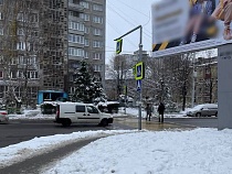 В Калининграде на пешеходном переходе загадочно погиб лебедь